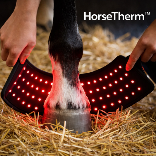 HorseTherm™ - Rotlicht für Pferdebeine & Sehnen