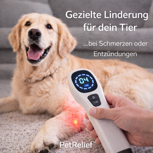 PetRelief™ - Infrarot-Lasertherapie für Tiere