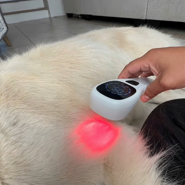 Tierlicht Therapiegerät Pro